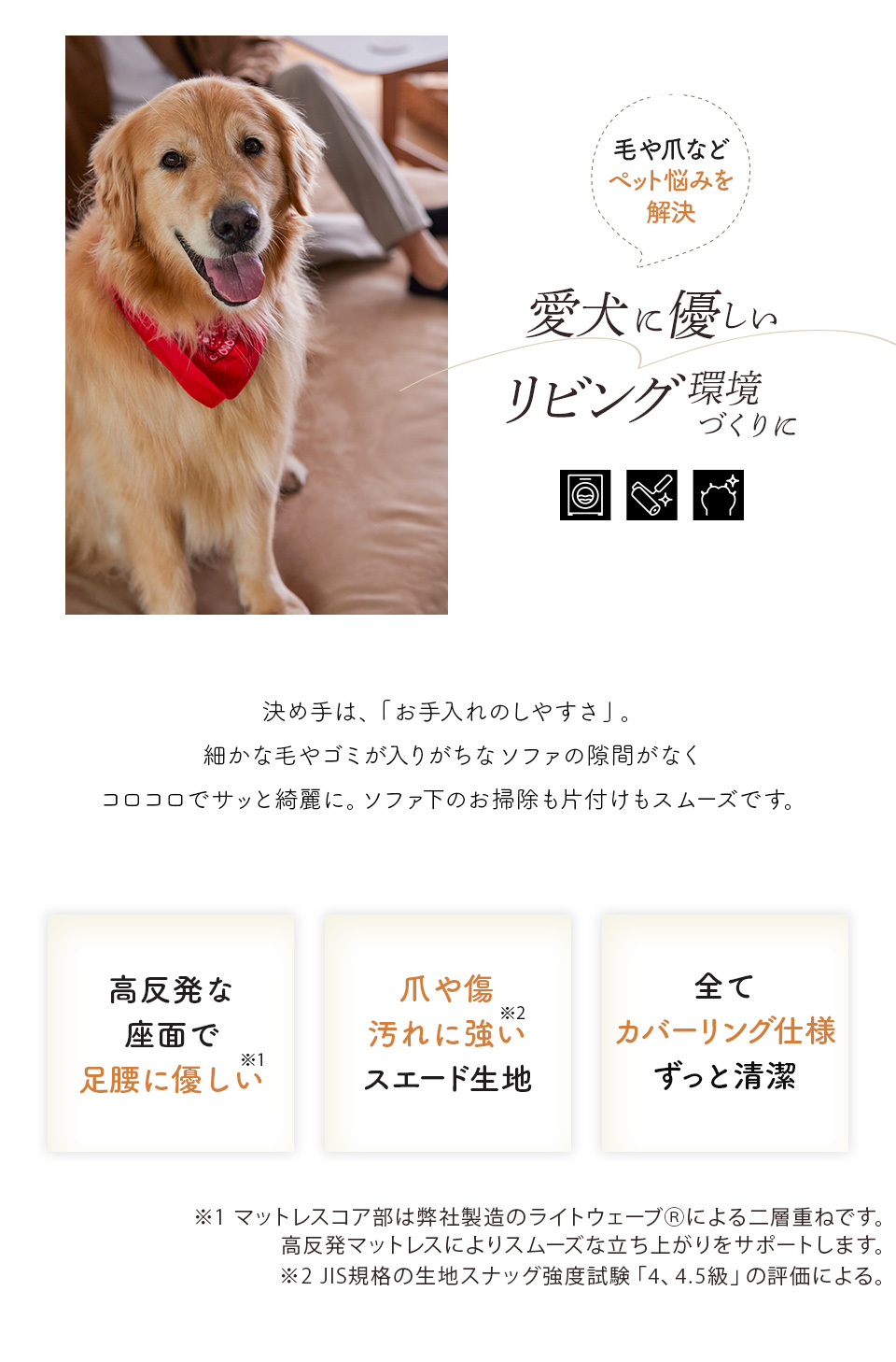 愛犬に優しいリビング環境づくり