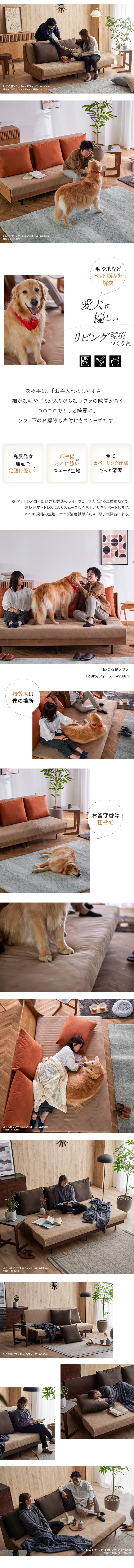 愛犬に優しいリビング環境づくり